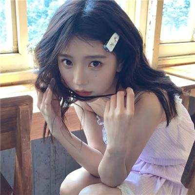 有猫的迷宫