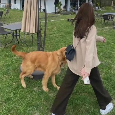 真情赤子心