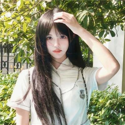 熊族之旅
